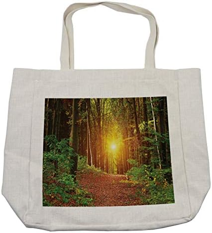 Чанта за пазаруване Ambesonne Forest, Отражение, в дълбочината на гората, Бреза, Природа, Есенни Фантастични Пейзажи, Дългогодишна Чанта за Еднократна употреба за продукти